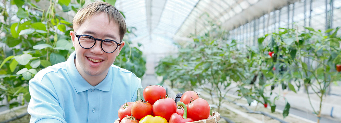 Special Needs Employment Services