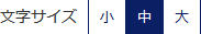 [文字サイズ] ボタン画像