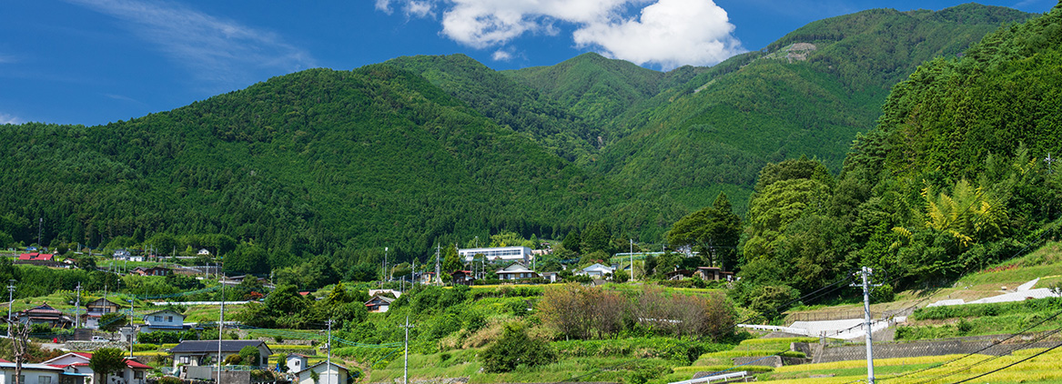 自治体向け脱炭素支援サービス